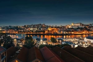 Da Coimbra: Porto, Aveiro e Douro in privato con degustazione e crociera