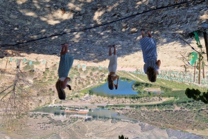 Da Gaia Tour della Valle del Douro Degustazione di vini Crociera sul fiume Pranzo