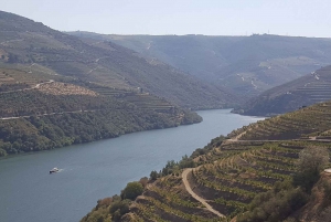 Da Gaia Tour della Valle del Douro Degustazione di vini Crociera sul fiume Pranzo