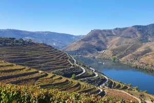 Da Gaia Tour della Valle del Douro Degustazione di vini Crociera sul fiume Pranzo