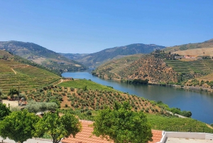 Da Gaia Tour della Valle del Douro Degustazione di vini Crociera sul fiume Pranzo