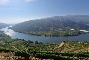 Da Gaia Tour della Valle del Douro Degustazione di vini Crociera sul fiume Pranzo