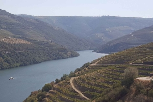 From Gaia Douro Valley Tour Wine Tasting River Cruise Lunch