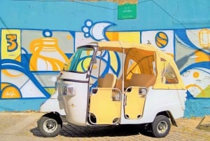 From Leixões: Private Porto Historic Center Tuk Tuk Tour