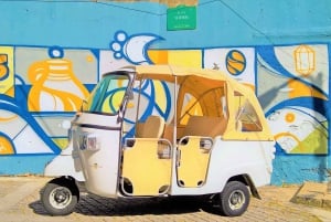 Au départ de Leixões : Visite privée du centre historique de Porto en Tuk Tuk