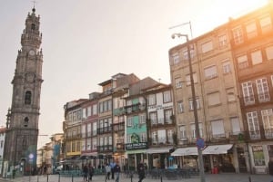 Från Lisboa: Porto privat heldagsutflykt