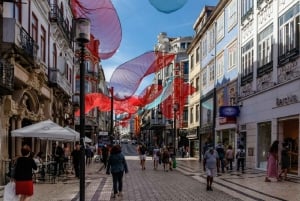 Från Lisboa: Porto privat heldagsutflykt