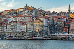 From Lisboa: Porto Private Full Day Tour