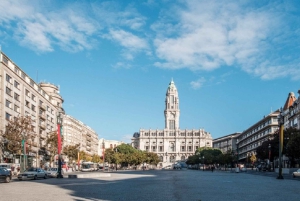 From Lisboa: Porto Private Full Day Tour