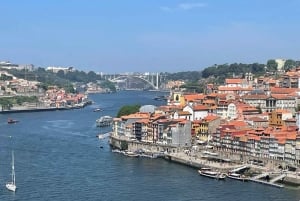Vanuit Lissabon: Dourovallei en Porto stad beleven