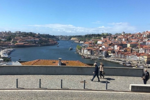 Fra Lisboa: Enveis transfer til/fra Porto