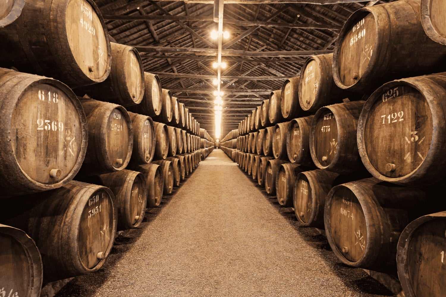 Fra Lissabon: PORTO og vin