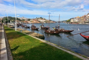 From Lisbon: Private Porto Tour with Wine Tasting in Gaia