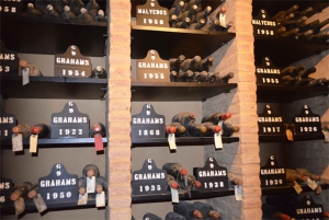 Da Lisbona: tour privato di un giorno a Porto