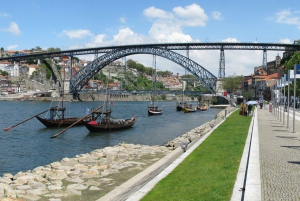 Depuis Lisbonne : Visite privée d'une jounée à Porto