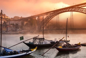 Depuis Lisbonne : Visite privée d'une jounée à Porto