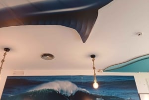 Fra Lisboa: Porto Transfer med Óbidos & Nazaré Tours