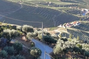 Fra Lisboa: Porto Transfer med Óbidos & Nazaré Tours