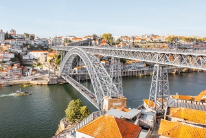 Из Лиссабона: частная экскурсия в Порту с дегустацией вин в Гайе