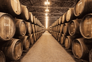 Из Лиссабона: частная экскурсия в Порту с дегустацией вин в Гайе