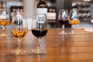 Из Лиссабона: частная экскурсия в Порту с дегустацией вин в Гайе