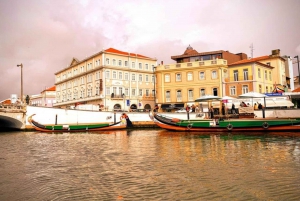 Von Lissabon aus: Privater Transfer nach Porto mit Aveiro Tour
