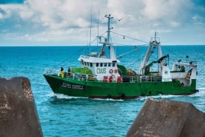 From Lisbon: Tansfer to Porto with stops until 3 cities