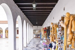 From Lisbon: Tansfer to Porto with stops until 3 cities