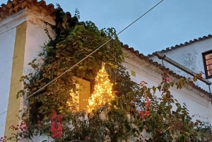 Fra Lissabon til Porto: En rejse gennem historie og skønhed