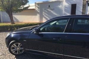 Von Lissabon aus: Stadthopping-Transfer nach Porto