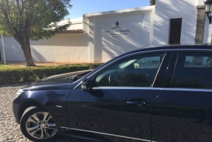 Z Lizbony: Transfer do Porto