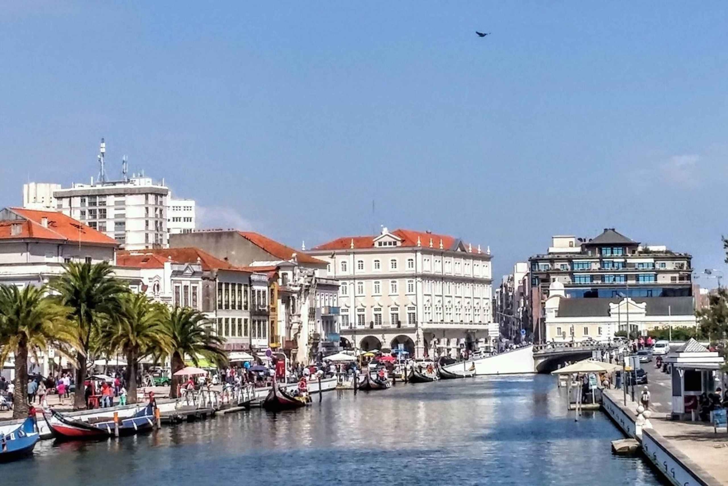 Z Porto: wycieczka do Aveiro (4 godziny) – pół dnia