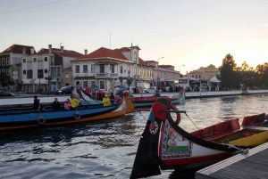 Z Porto: wycieczka do Aveiro (4 godziny) – pół dnia