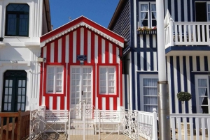 Z Porto: wycieczka do Aveiro (4 godziny) – pół dnia