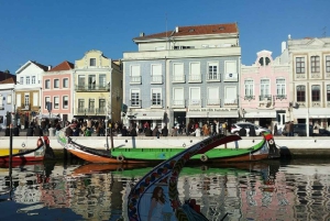 Z Porto: wycieczka do Aveiro (4 godziny) – pół dnia
