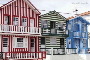 Z Porto: wycieczka do Aveiro (4 godziny) – pół dnia