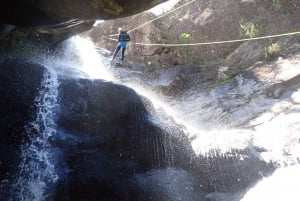 Från Porto: Gerês National Park Canyoning Trip