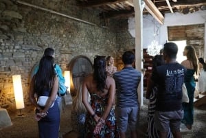 From Porto: 2 Boutique Wineries w/ Winery Lunch & 1-h cruise