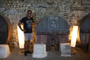 From Porto: 2 Boutique Wineries w/ Winery Lunch & 1-h cruise