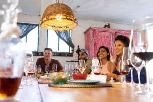 From Porto: 2 Boutique Wineries w/ Winery Lunch & 1-h cruise