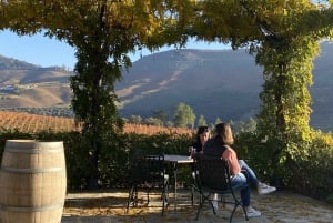 From Porto: 2 Boutique Wineries w/ Winery Lunch & 1-h cruise