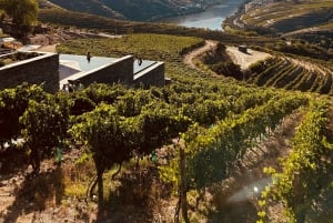 From Porto: 2 Boutique Wineries w/ Winery Lunch & 1-h cruise