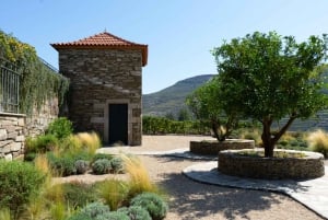 From Porto: 2 Boutique Wineries w/ Winery Lunch & 1-h cruise
