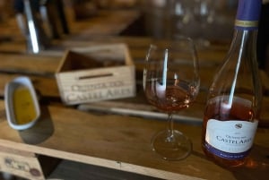 From Porto: 2 Boutique Wineries w/ Winery Lunch & 1-h cruise
