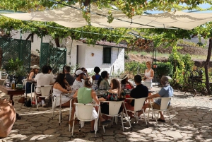 From Porto: 2 Boutique Wineries w/ Winery Lunch & 1-h cruise