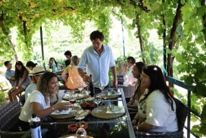 From Porto: 2 Boutique Wineries w/ Winery Lunch & 1-h cruise