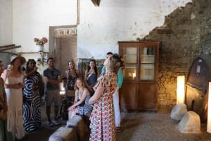 From Porto: 2 Boutique Wineries w/ Winery Lunch & 1-h cruise