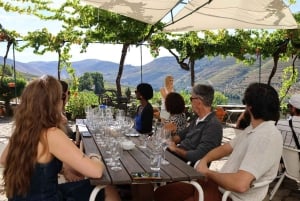 From Porto: 2 Boutique Wineries w/ Winery Lunch & 1-h cruise