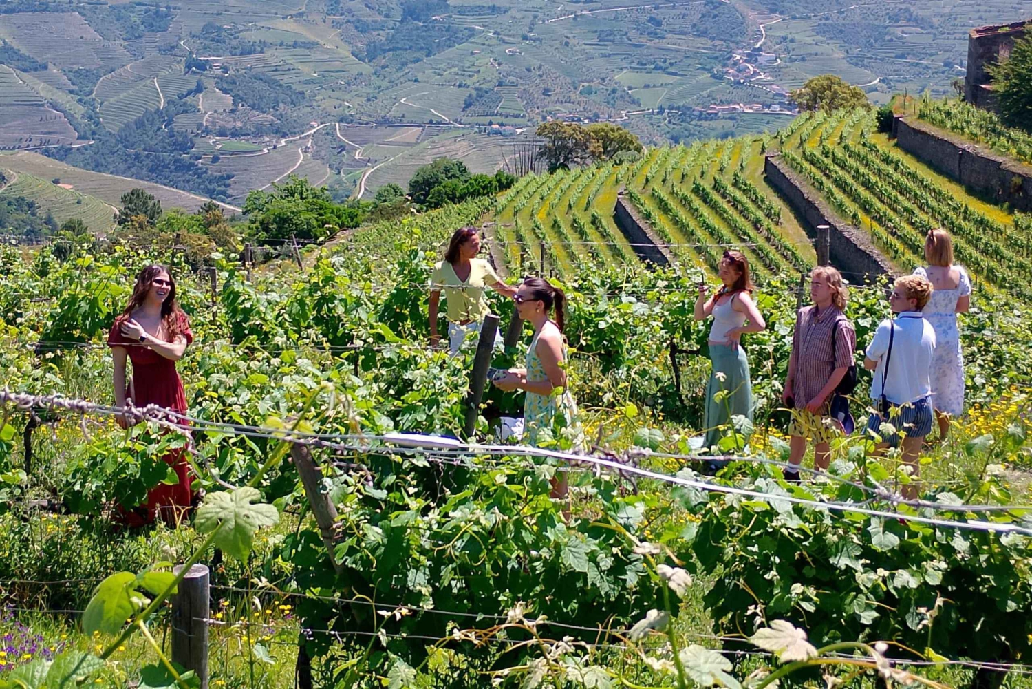 Z Porto: 2 regiony winiarskie, lunch na farmie i rejs