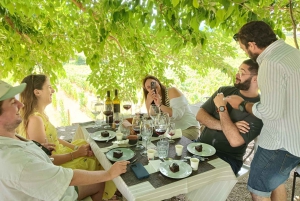 Z Porto: 2 regiony winiarskie, lunch na farmie i rejs